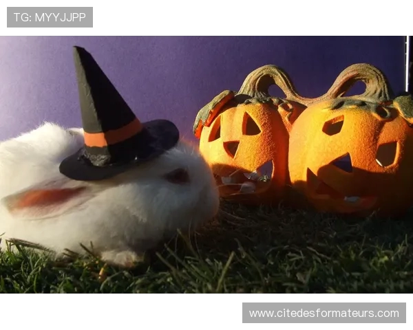 曼城举办恐怖万圣节派对自嘲上赛季低迷表现让球迷笑中带惊趣味感