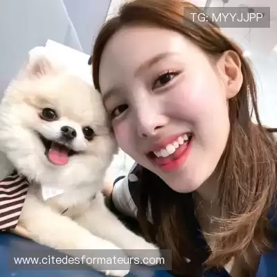 经新海